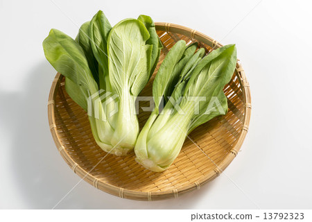 雞肉 雞肉 13792323