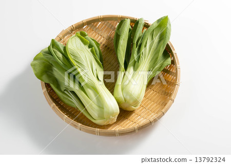 雞肉 雞肉 13792324