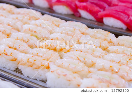 Shrimp Shrimp 13792590
