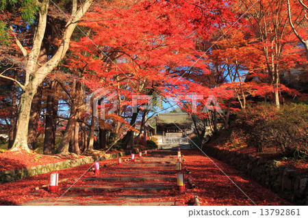 Bishamon-do秋天和楓樹楓樹 13792861