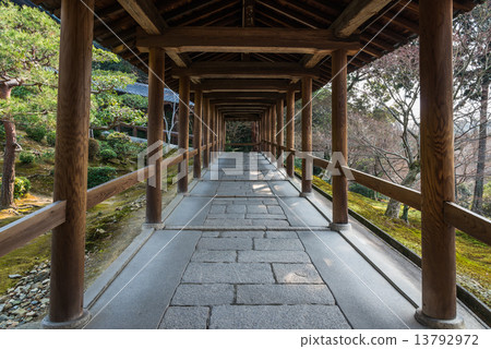 Kyoto Tofukuji Tsutenobashi 13792972