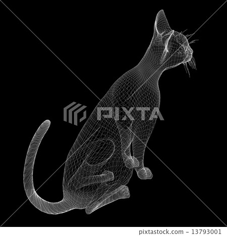 cat wire model - Stock Illustration [13793001] - PIXTA