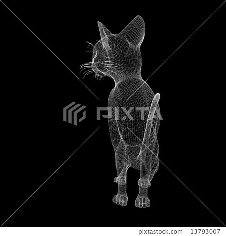 cat wire model - Stock Illustration [13793007] - PIXTA