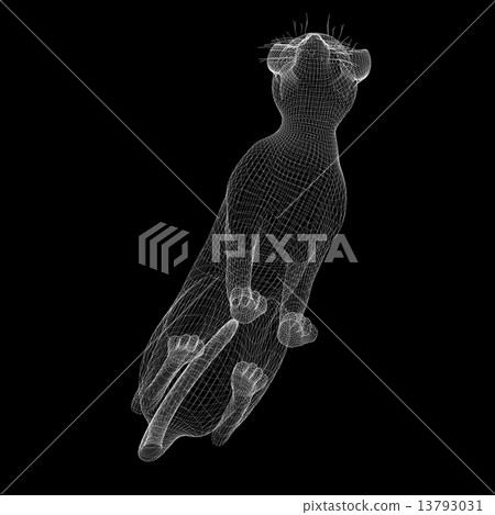 cat wire model - Stock Illustration [13793031] - PIXTA