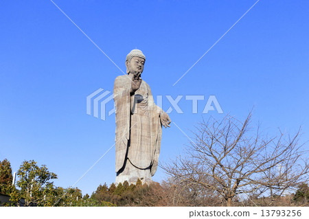 Ushiku Great Buddha 13793256