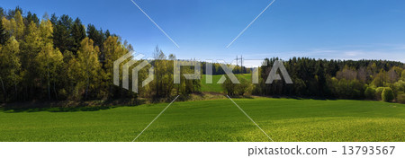 Panoramic landscape 13793567