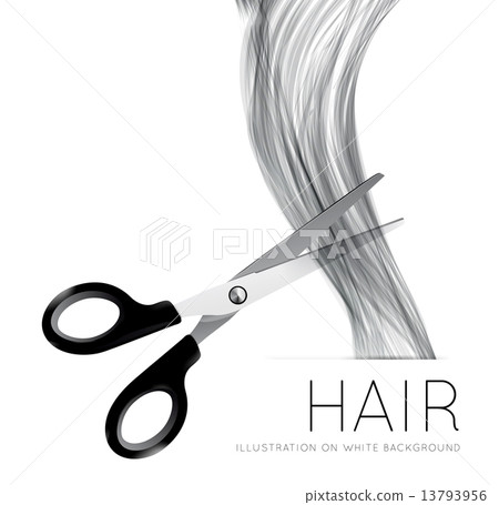 Hair and scissors on a white background Hair and scissors on a white background 13793956