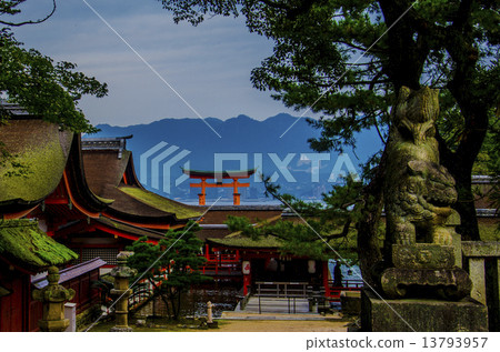 嚴島神社 13793957