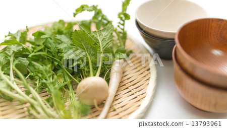七種草藥 13793961