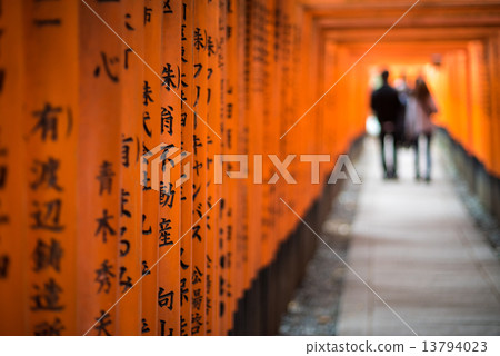 Red Torii of Fushimi Inari Shrine, Kyoto, Japan 13794023