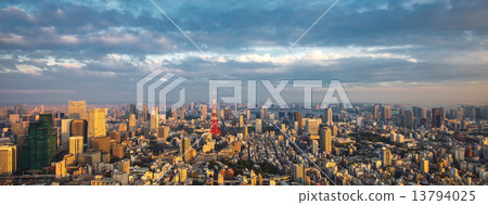 Tokyo aerial panoramic view 13794025