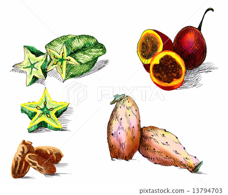 tropical fruits tropical fruits 13794703