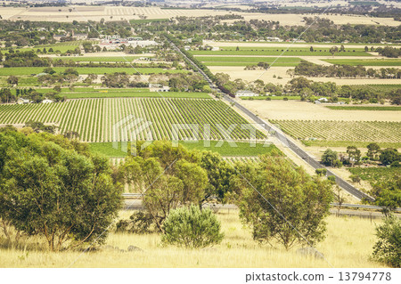 Barossa Valley Barossa Valley 13794778