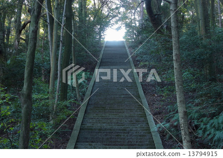 Kyoto Toyokuni Shrine Stone steps 13794915