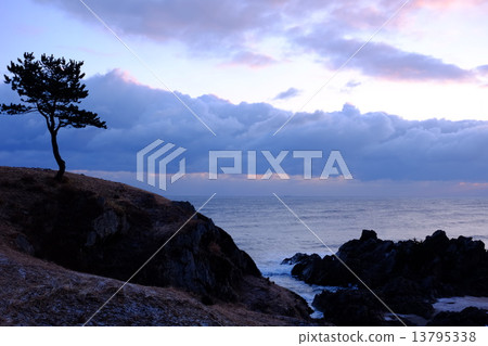 清晨大穗海岸(N0.1) 清晨大穗海岸(N0.1) 13795338