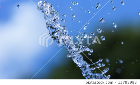 水 水 13795988