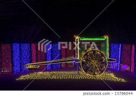 Kasuga Taisha Shrine night garden illuminations Illumina 13796044