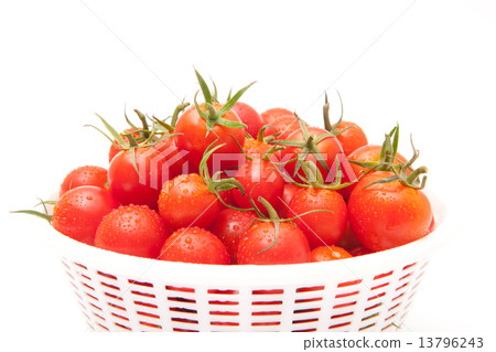 Mini Tomato Mini Tomato 13796243