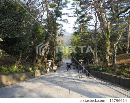 Izumo Taisha Shrine approach 13796614