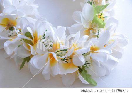 Plumeria lei 13796892