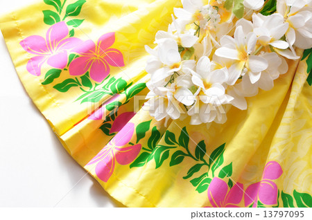 Pauscat and Ray 13797095