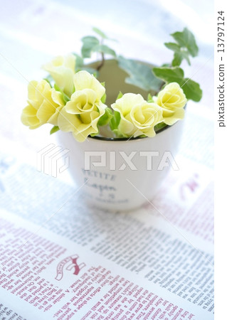 Julian decorated with an enamel bowl Julian decorated with an enamel bowl 13797124