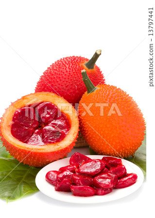 Baby Jackfruit on white background Baby Jackfruit on white background 13797441