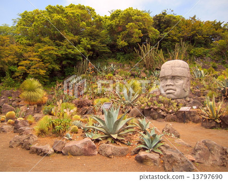 伊豆Cactarium公園 伊豆Cactarium公園 13797690