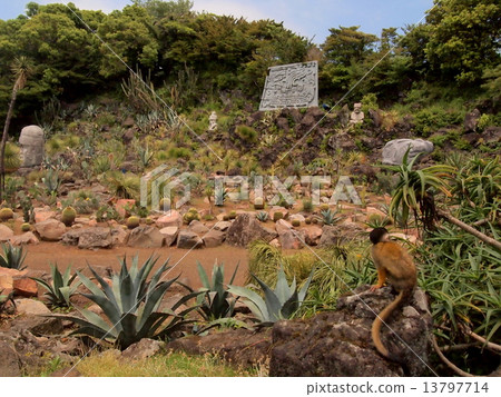 Izu Cactarium Park Izu Cactarium Park 13797714