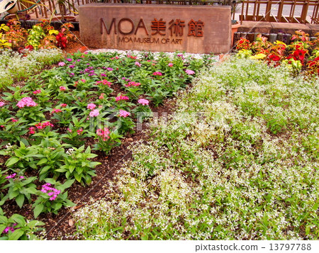 MOA Museum of Art 13797788
