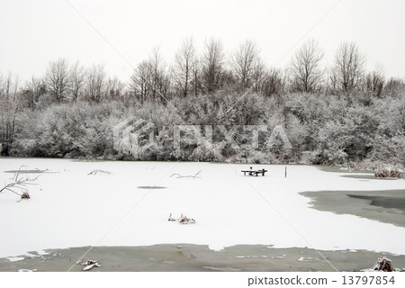 frozen winter lake frozen winter lake 13797854