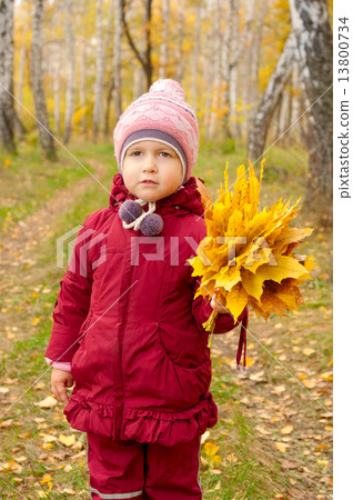 Little girl with yellow leaves 13800734