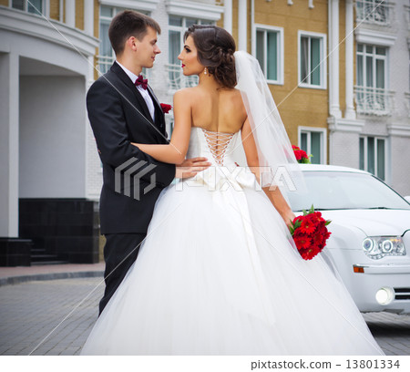 Newlyweds near the house Newlyweds near the house 13801334