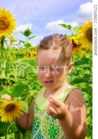 Girl on sunflowers field 13804121