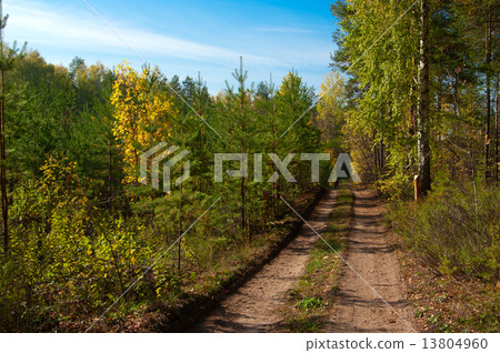 Road at autumn forest Road at autumn forest 13804960