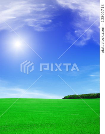 Summer landscape - blue sky with sun and green field 13805718