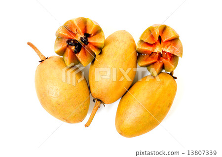 Fresh sapodillas isolated on white background Fresh sapodillas isolated on white background 13807339