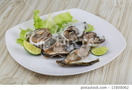 Fresh oyster Fresh oyster 13808062