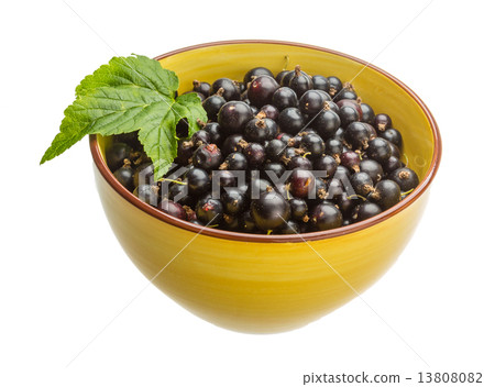 Black currant Black currant 13808082
