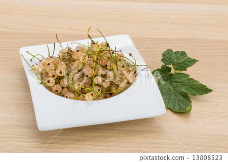 White currant White currant 13808523