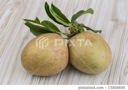 Sapodilla Sapodilla 13808600