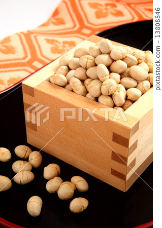 大豆大豆的適應性 13808846