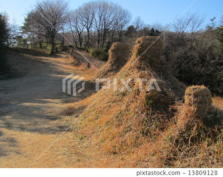 Inomata的八百盞燈(埼玉kotama槍Misato cho Inomata) Inomata的八百盞燈(埼玉kotama槍Misato cho Inomata) 13809128
