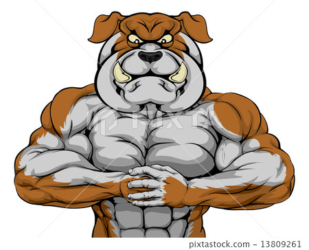 Strong Bulldog Mascot 13809261