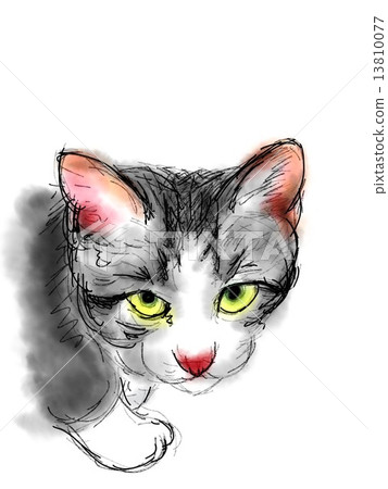 Cat's illustration Cat's illustration 13810077