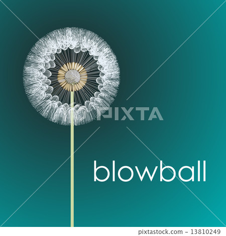 blowball 13810249