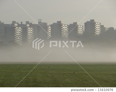 Blocks by misty Richmond Park 13810976