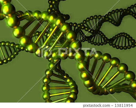 DNA - deoxyribonucleic acid DNA - deoxyribonucleic acid 13811954
