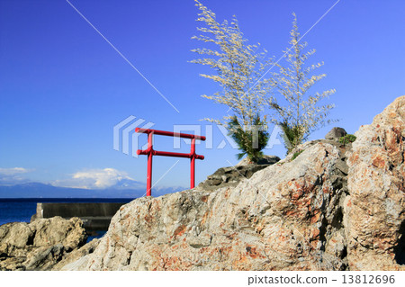 Winter in Hayama Ichiro coast 13812696