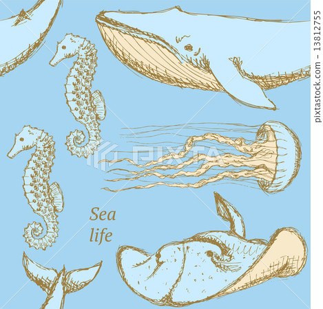 Sketch sea creatures in vintage style Sketch sea creatures in vintage style 13812755